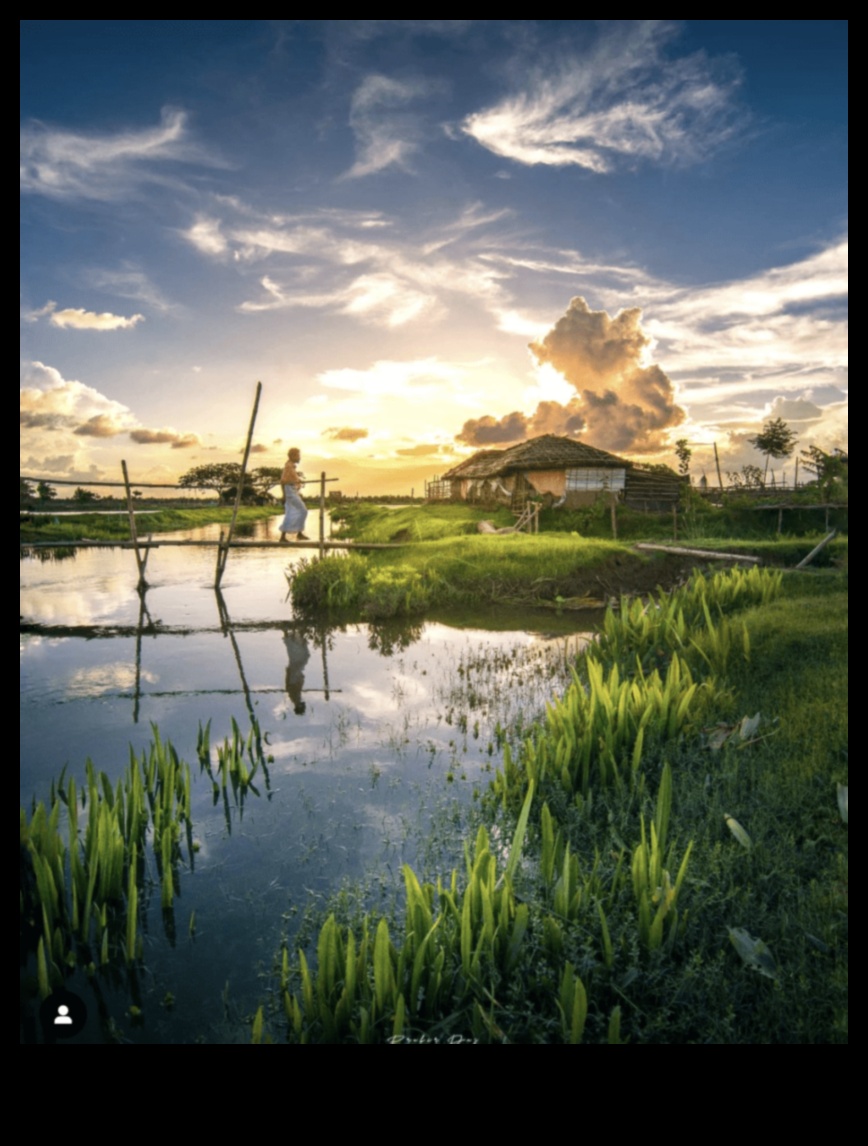 Landscape Euphoria: A Visual Feast for Nature Lovers