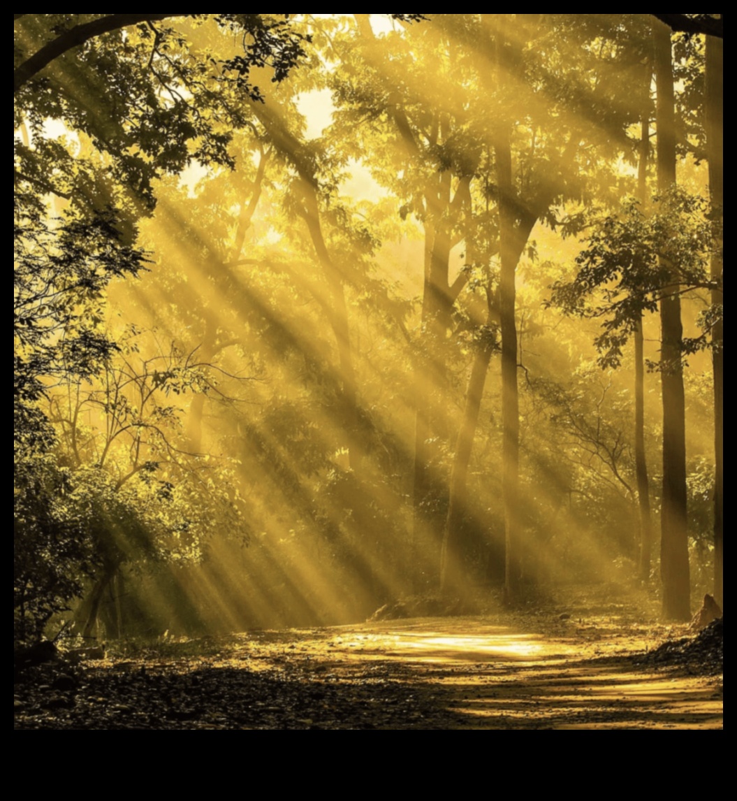 Landscape Euphoria: A Visual Feast for Nature Lovers