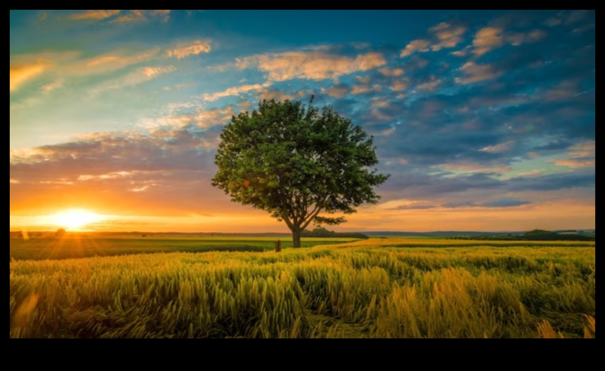 The Beauty of Nature in Pictures 3 Landscape Dreams: Pictures that Speak a Thousand Words