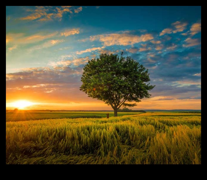 Can urban landscapes be as inspiring as natural ones?