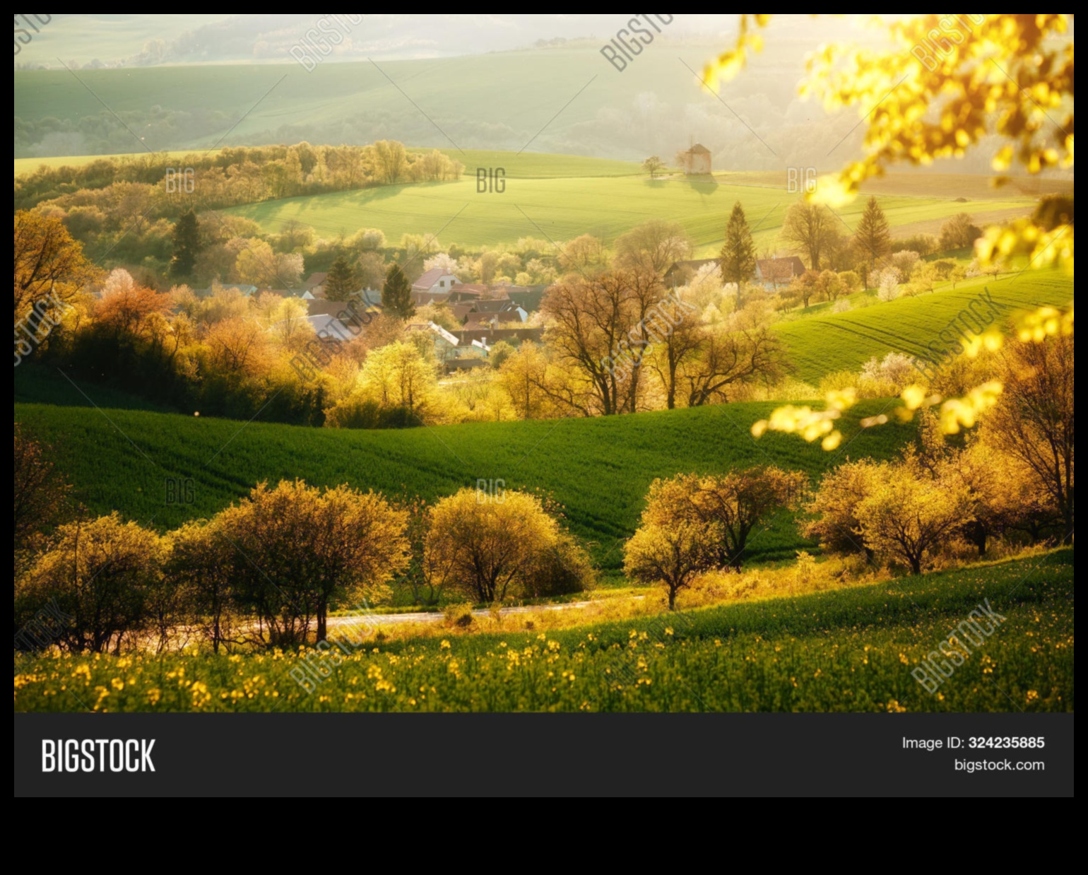 Countryside Beauty: Picturesque Vistas in Rural Landscapes