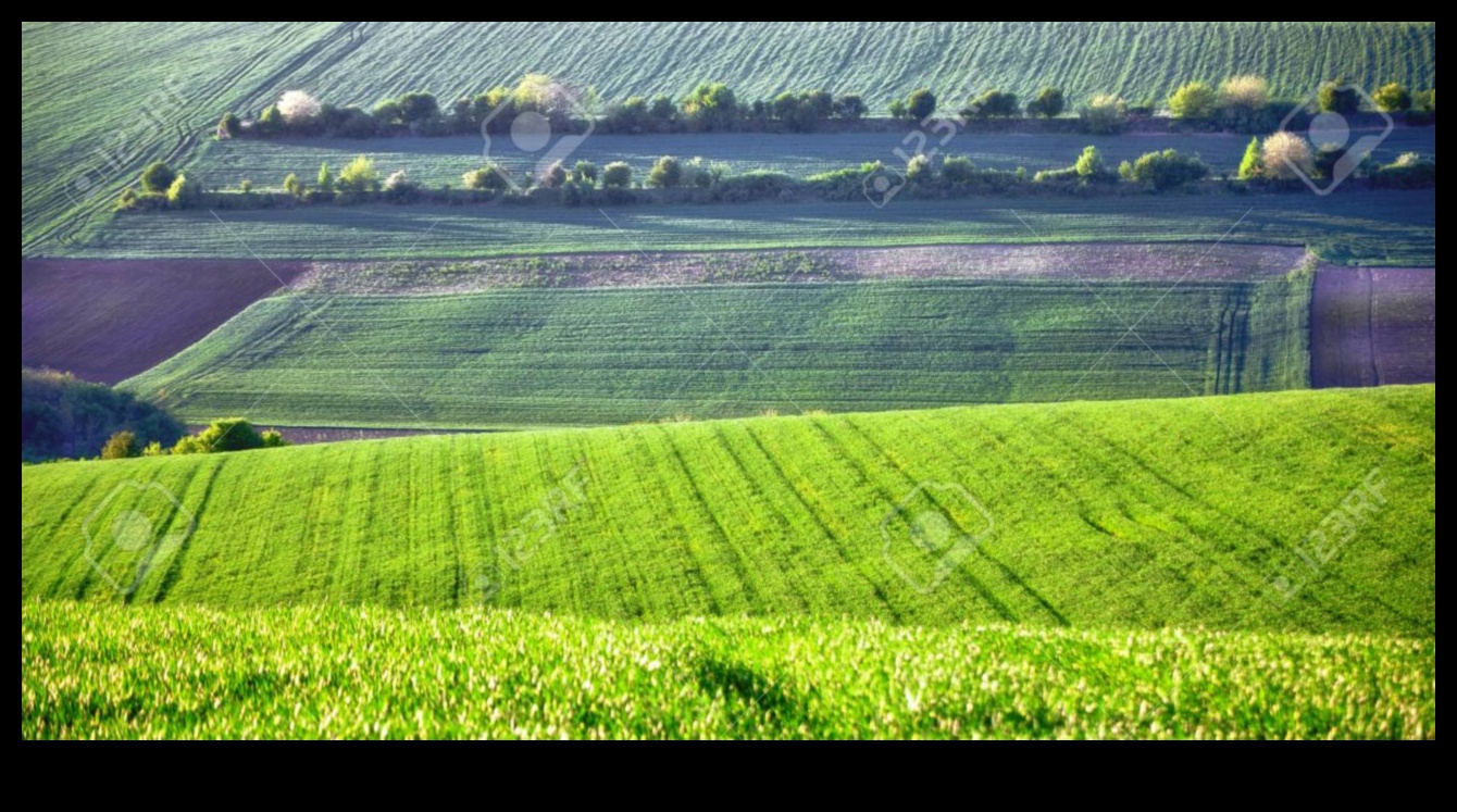 The Beauty of the Agricultural Landscape 2 Farmland and Crop Fields: The Beauty of Agricultural Landscapes