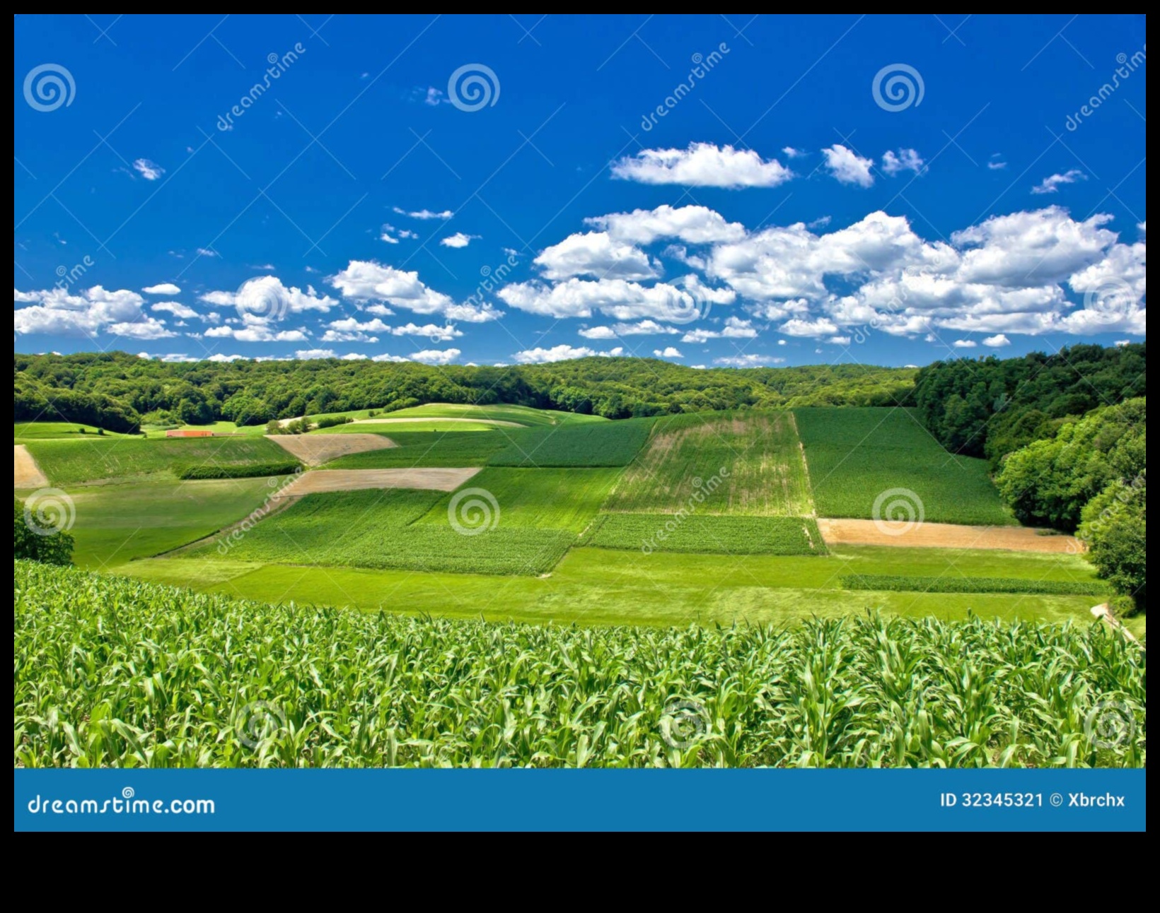 The Beauty of the Agricultural Landscape 3 Farmland and Crop Fields: The Beauty of Agricultural Landscapes