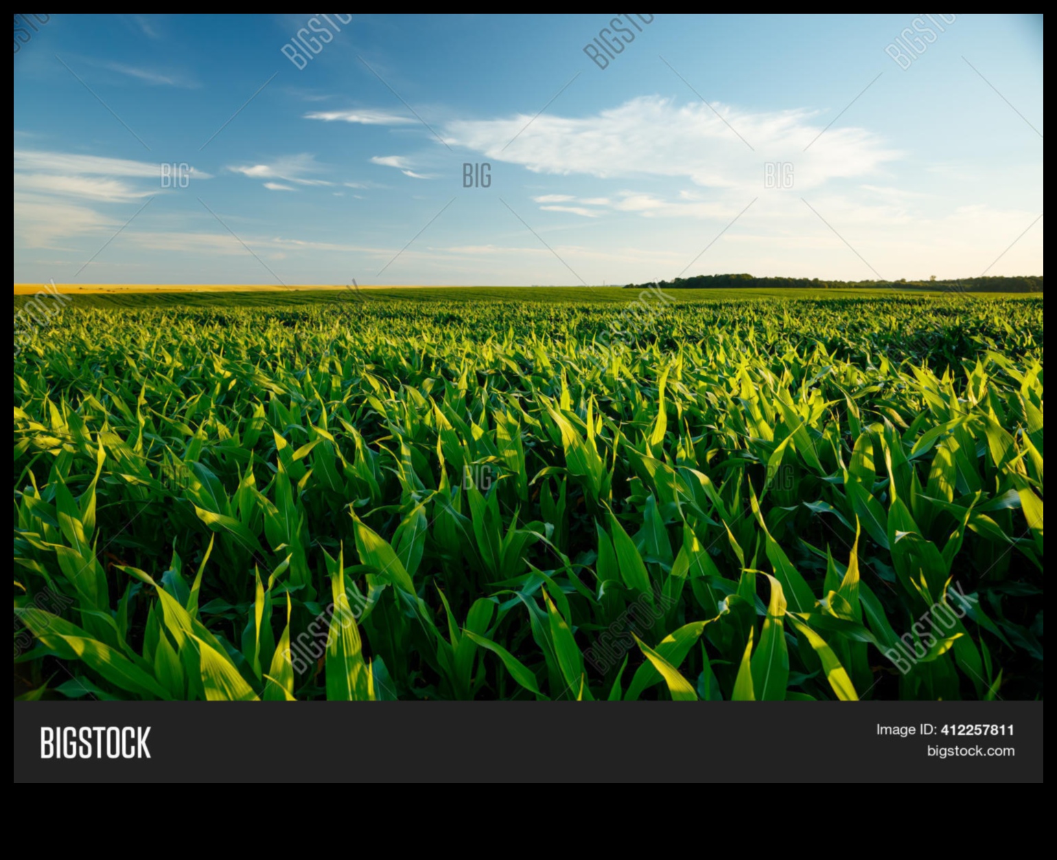 The Beauty of the Agricultural Landscape 4 Farmland and Crop Fields: The Beauty of Agricultural Landscapes