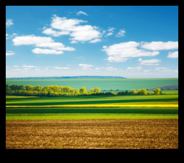 The Beauty of the Agricultural Landscape 5 Farmland and Crop Fields: The Beauty of Agricultural Landscapes
