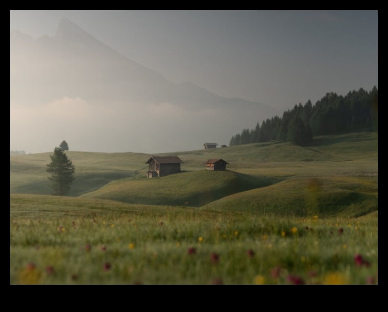 The Beauty of the Barren 4 Deserts Reimagined II: Finding Beauty in Arid Landscapes Afresh