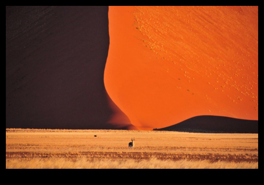 Desert Dreamscape: Unveiling the Beauty of Arid Landscapes