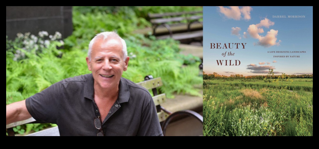 Wilderness Wonders: Landscapes Beyond Imagination