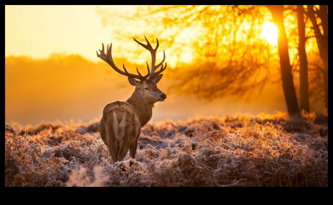 The Breathtaking Beauty of Nature 1 Earth's Elegance: Breathtaking Landscapes in Every Frame