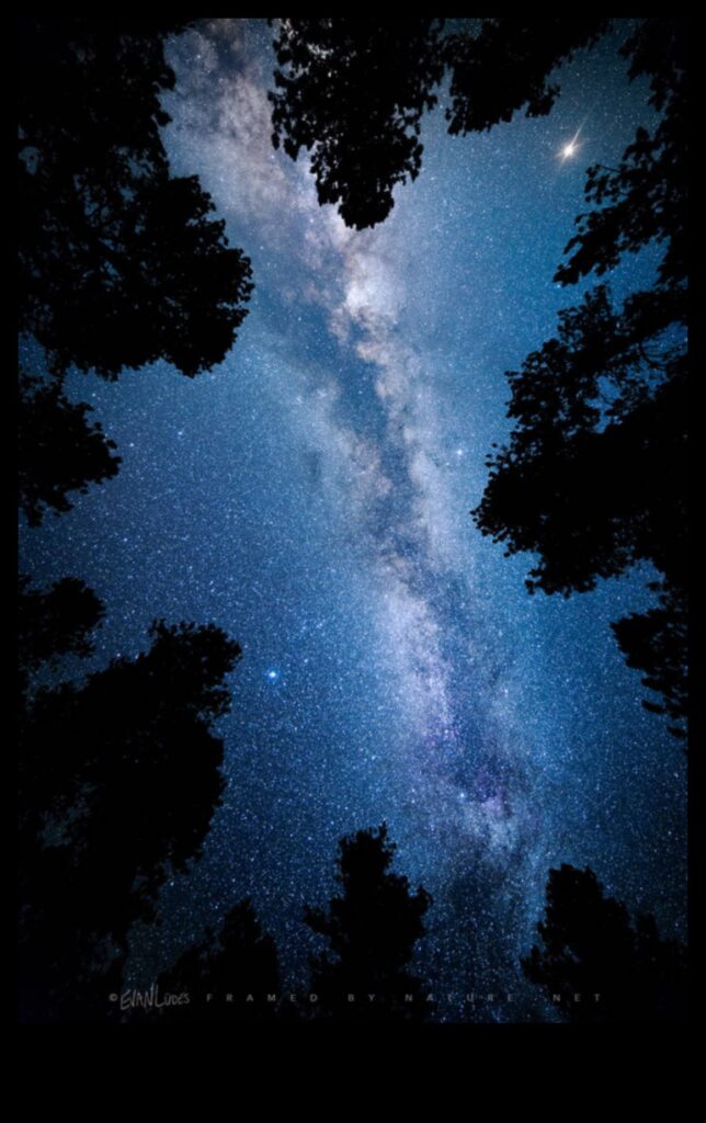 The Celestial Canopy 1