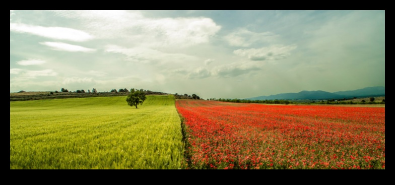 The Changing Landscape 2 Visions of Grandeur: A Panoramic Journey Through Landscapes