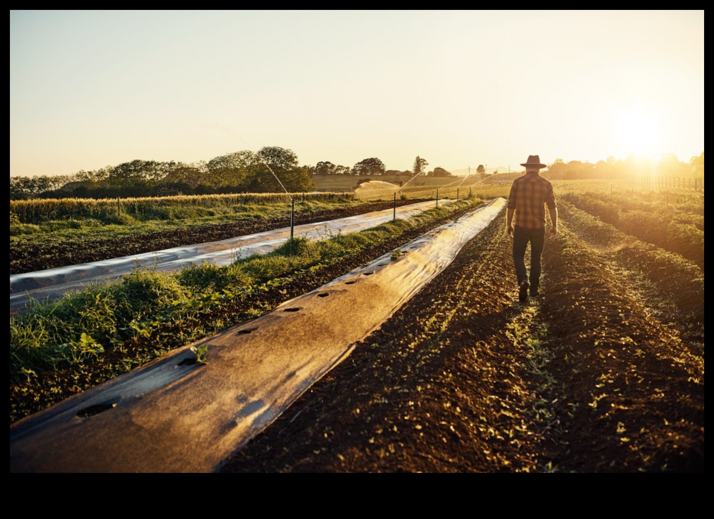 How do agricultural landscapes change throughout the seasons?