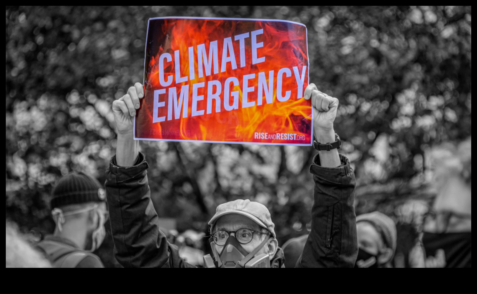 The Climate Crisis A Global Emergency 3 Climate Chronicles: Landscapes Affected by Global Changes