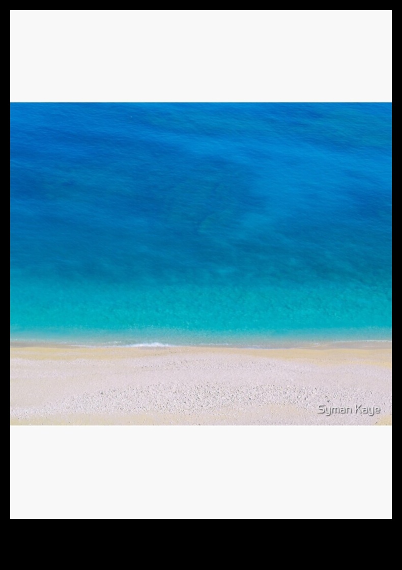 The Coast A Tapestry of Land and Sea 5 Coastal and Seaside Landscapes: Where Earth Meets Sea