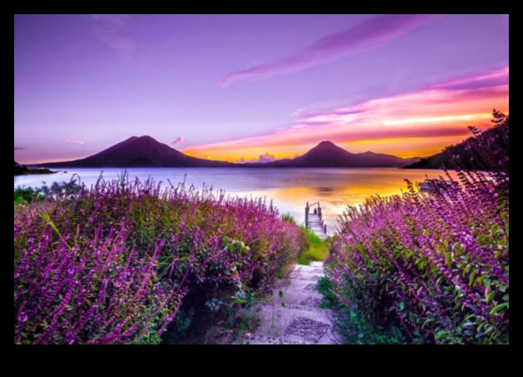 The Colors of Nature A Photographic Journey 4 A Symphony of Seasons: Nature's Ever-changing Palette