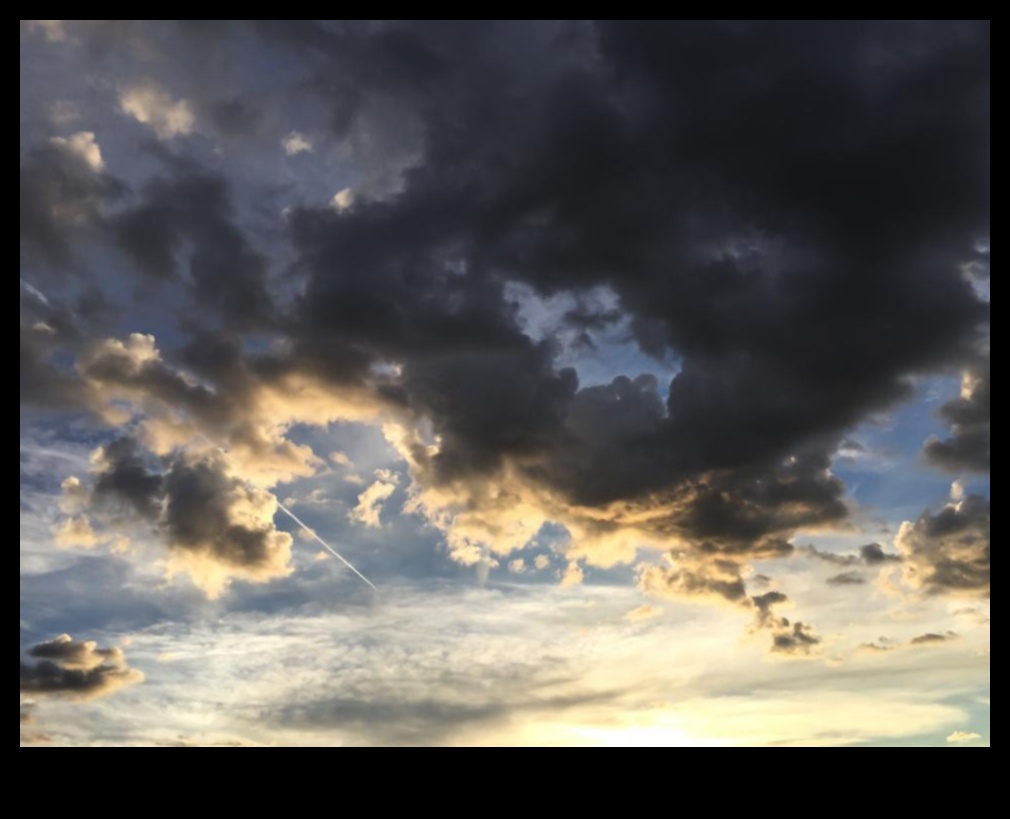 The Darkening Sky 4 What is the impact of light pollution on the visibility of celestial landscapes?