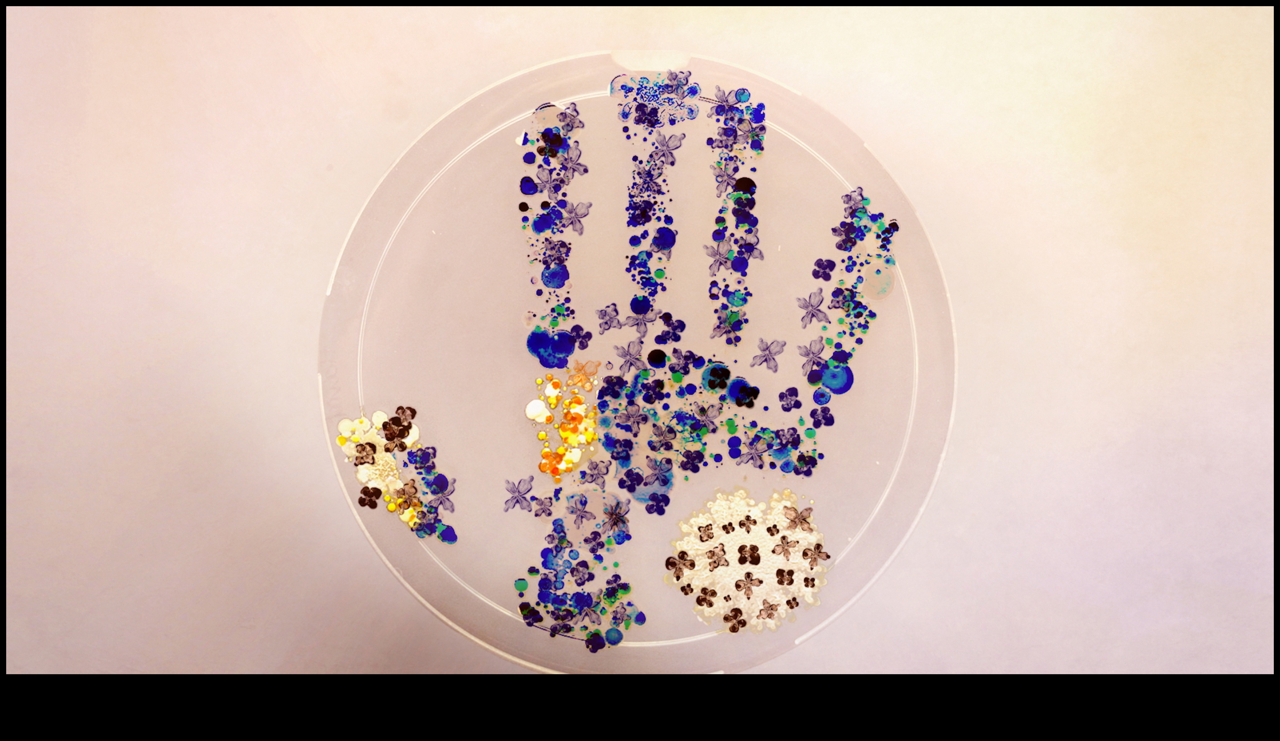 Water's Edge: Where Land and Aquatic Life Meet