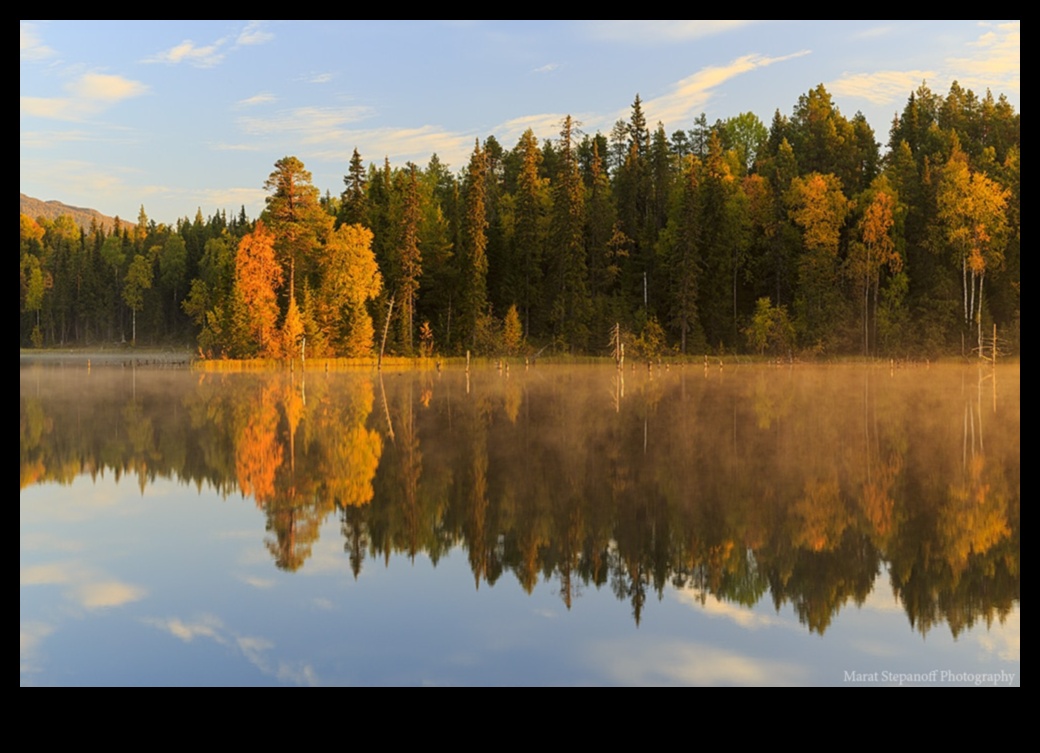 What are the key elements that define landscapes?