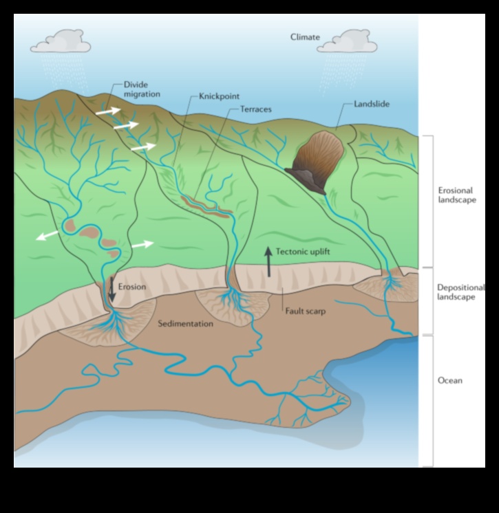 How do different geological processes contribute to the erosion of landscapes?