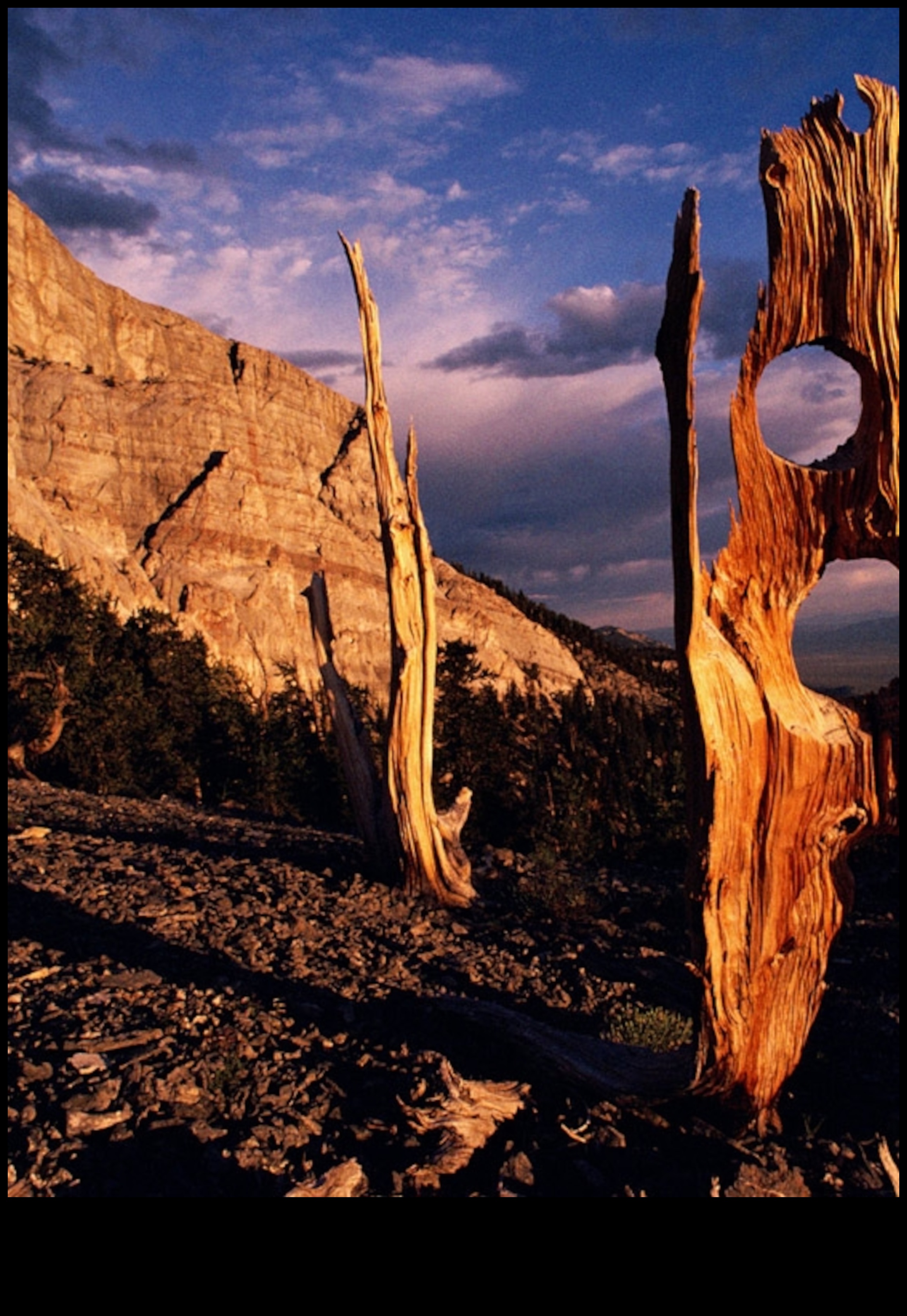 How do different geological processes contribute to the erosion of landscapes?