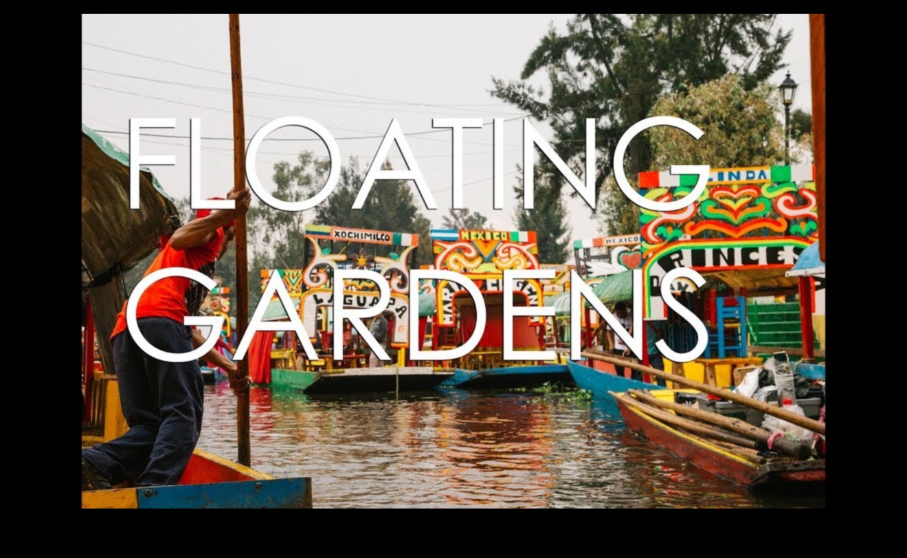 Floating Gardens: Water Features in Urban Design