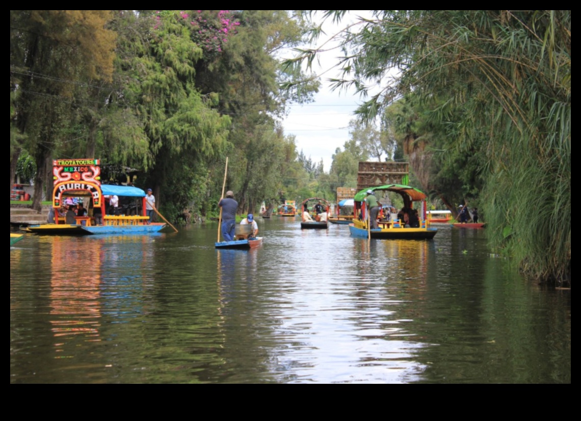 Floating Gardens: Water Features in Urban Design