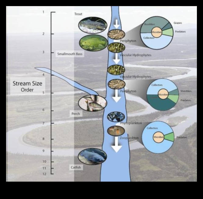 The Flow of Life Streams and Their Importance 1