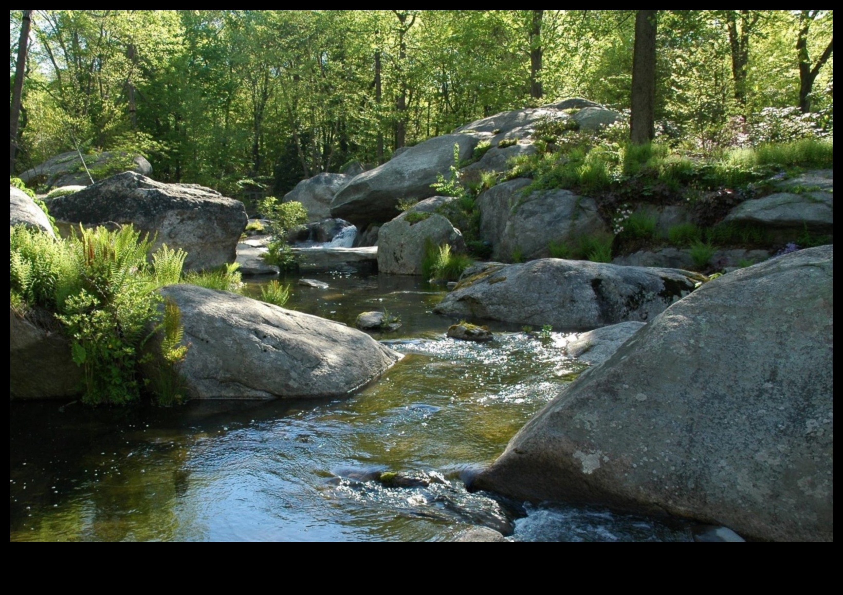 Rhythms of Rivulets III: Streams and Creeks Flowing Through Various Landscapes Again
