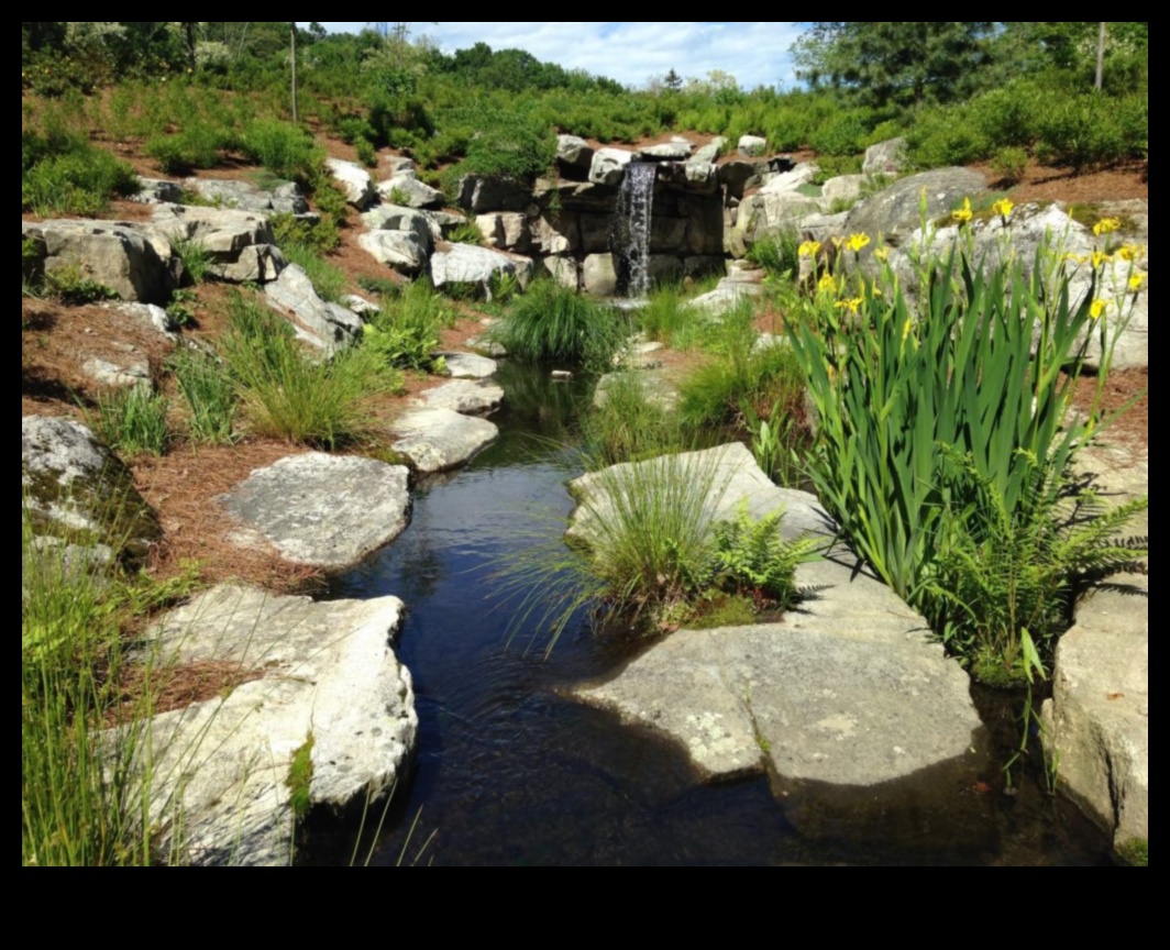 Rhythms of Rivulets III: Streams and Creeks Flowing Through Various Landscapes Again