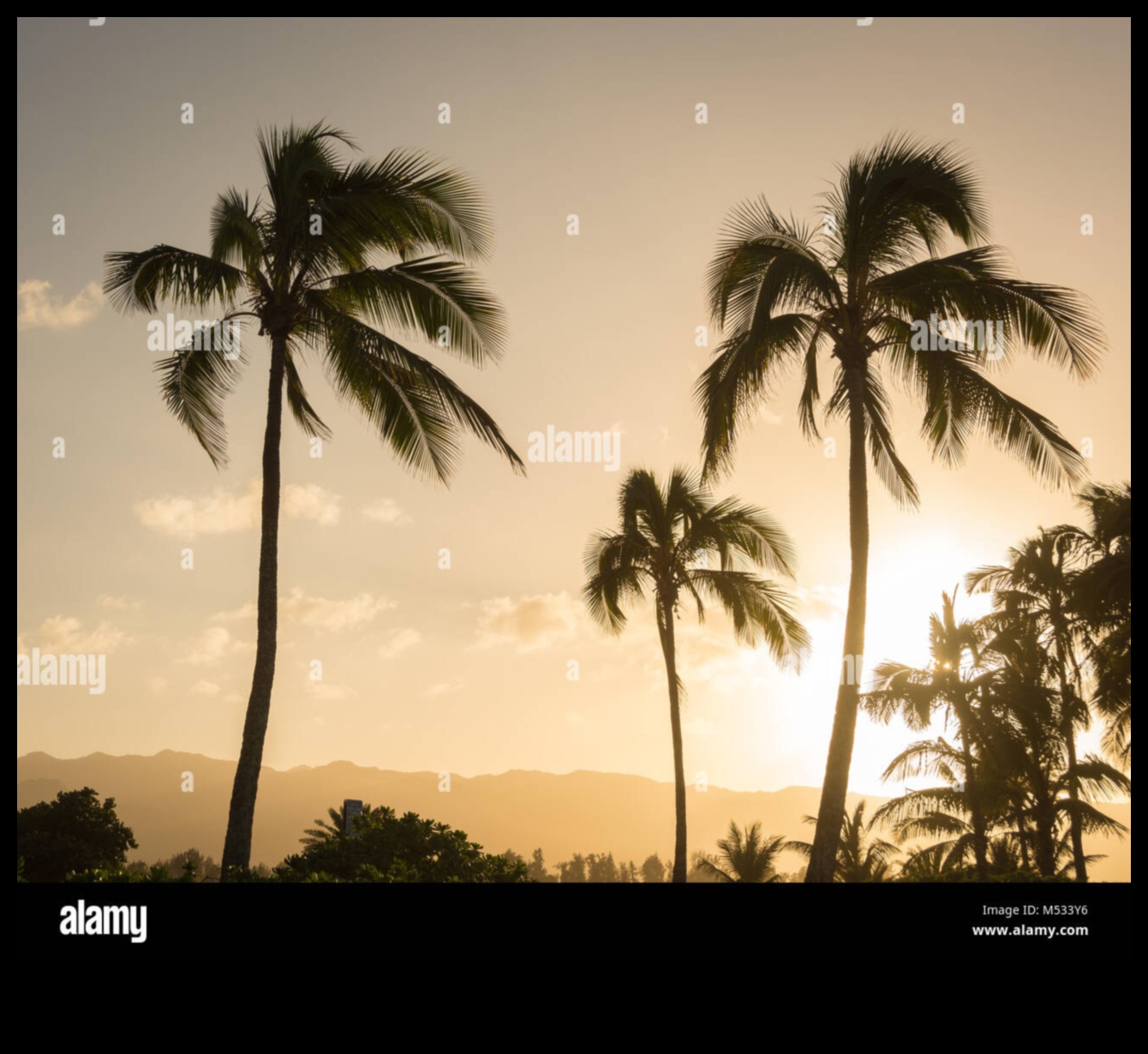 Nature's Whisperers: Captivating Landscapes That Speak to the Heart