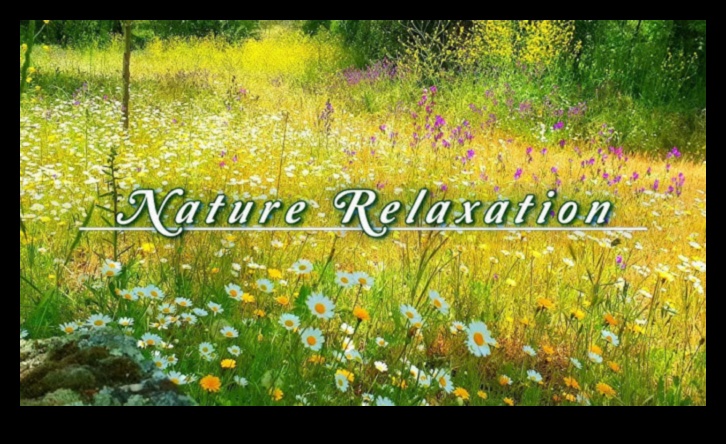 Nature's Whisperers: Captivating Landscapes That Speak to the Heart