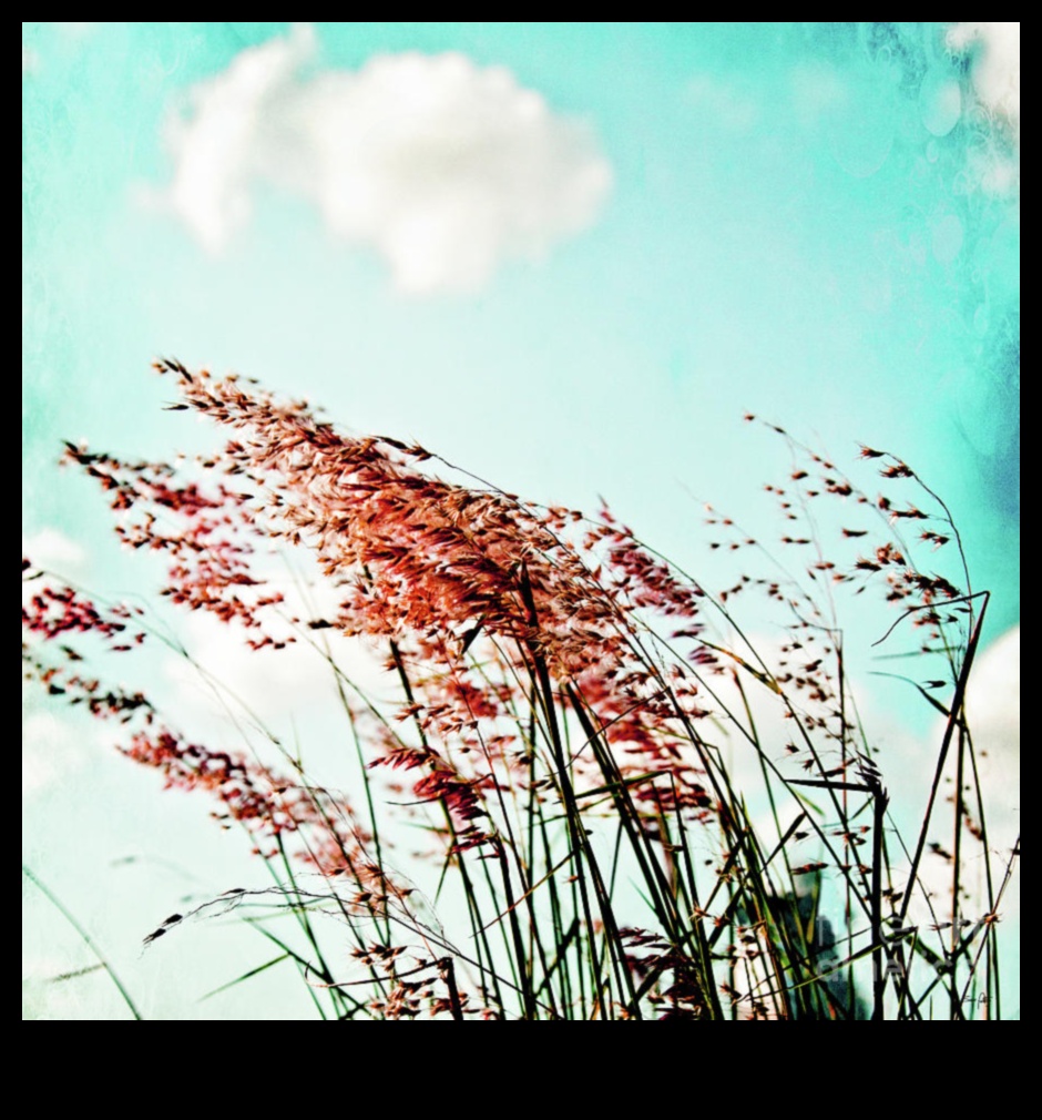 Nature's Whisperers: Captivating Landscapes That Speak to the Heart