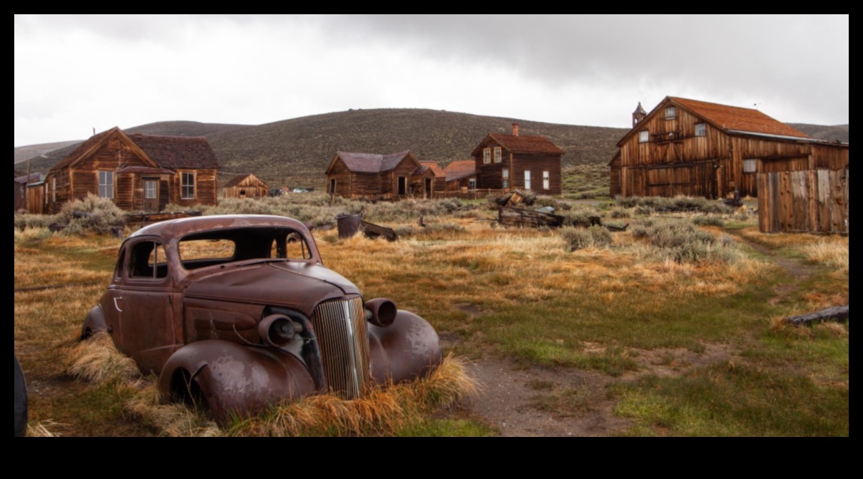 Ruins Reclaimed: Nature's Takeover in Abandoned Landscapes