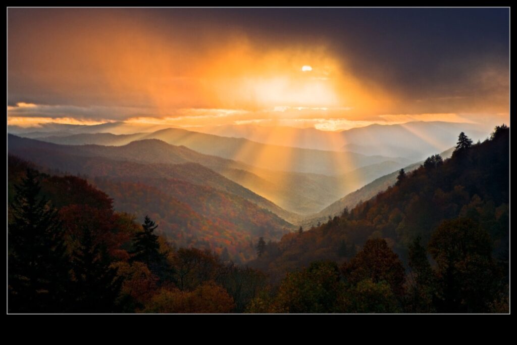 The Grand Landscape of Nature 1