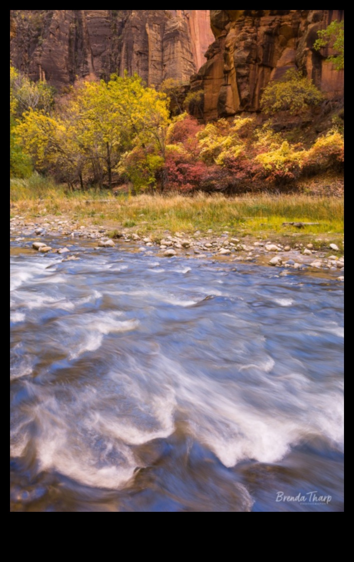 Majestic Earth: A Compilation of Grand Landscape Views
