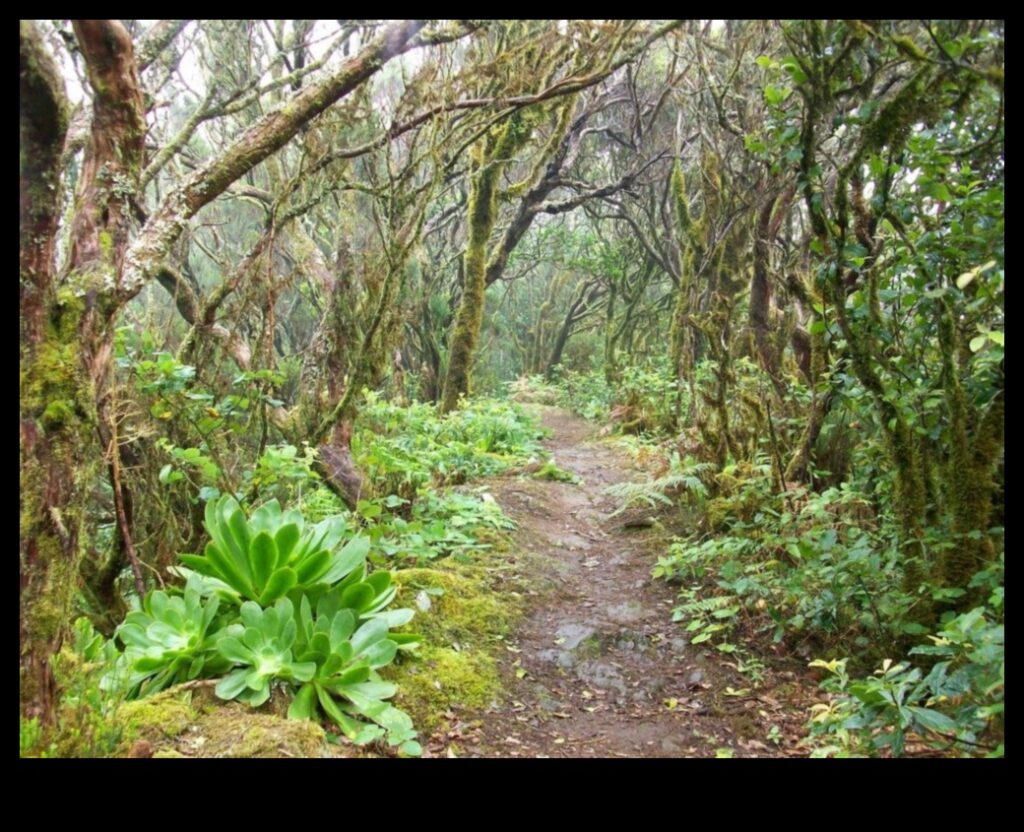 The Great Green Lungs 1