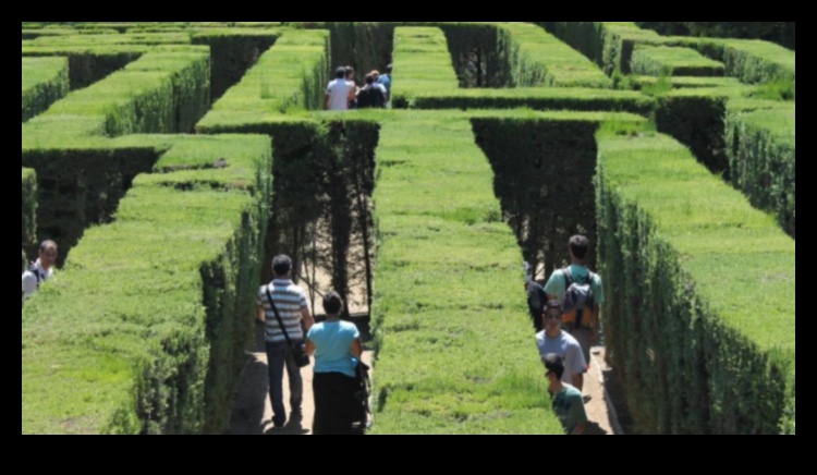 Whispering Pines: The Enchantment of Forested Landscapes