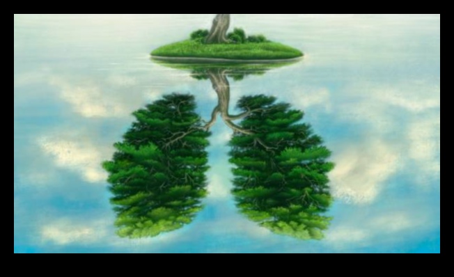 Whispering Pines: The Enchantment of Forested Landscapes