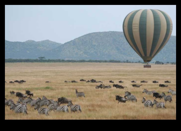 How do landscapes impact the migration patterns of animals?