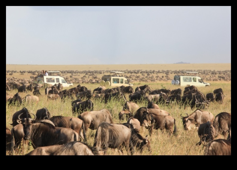 How do landscapes impact the migration patterns of animals?