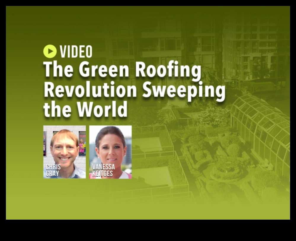 Uplifting Urban Design: Rooftop Escapes in the Concrete Jungle