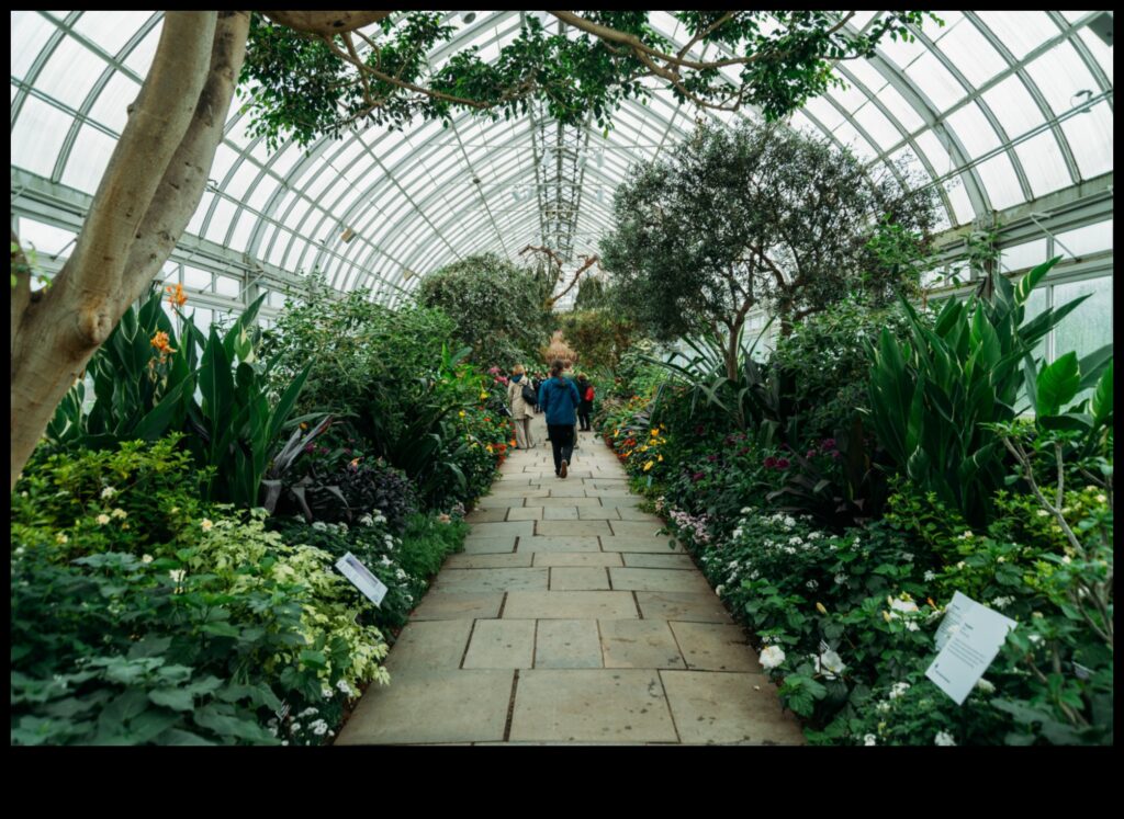 The Healing Power of Gardens 1