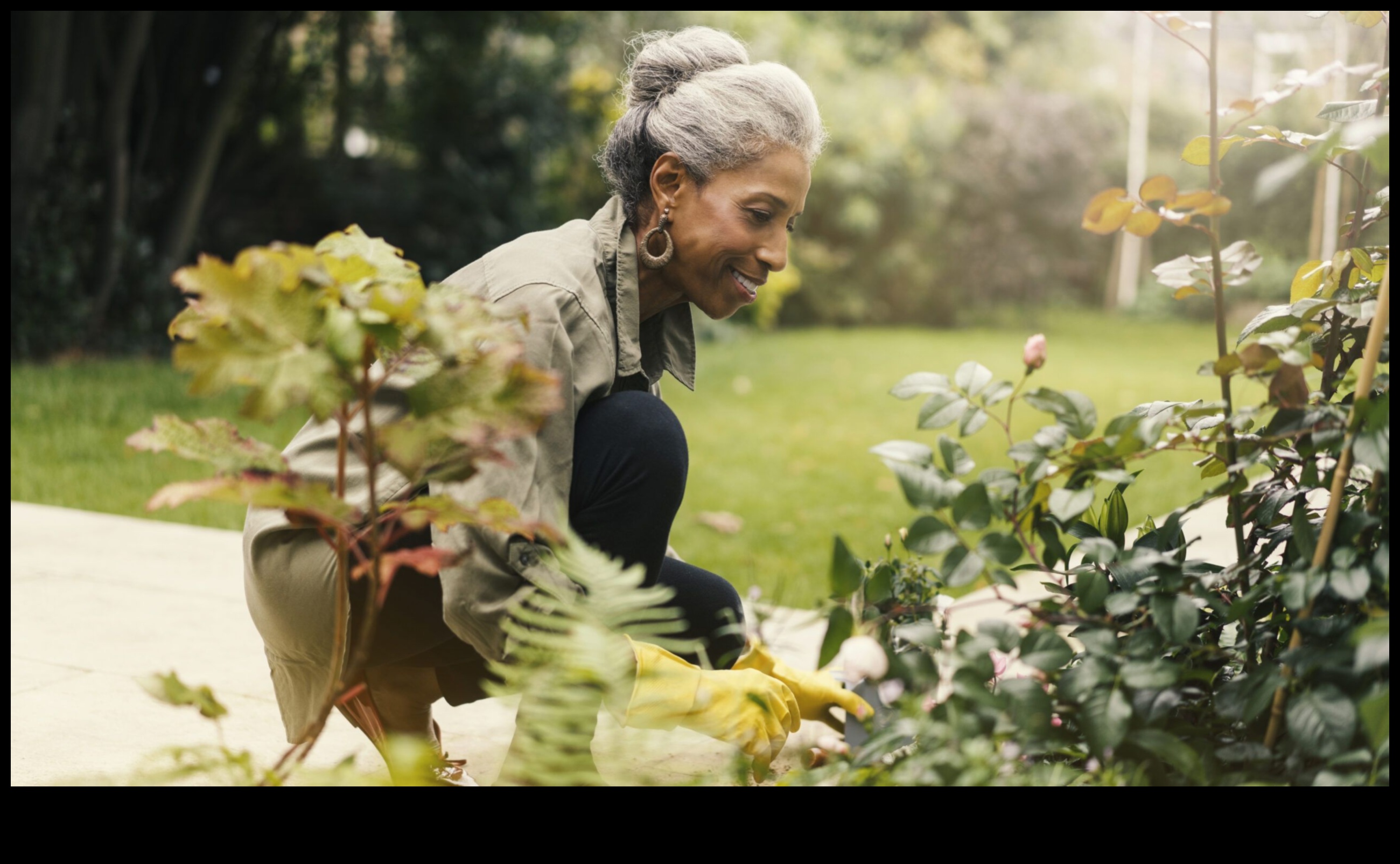 Green Wonders: Rediscovering Gardens and Green Spaces