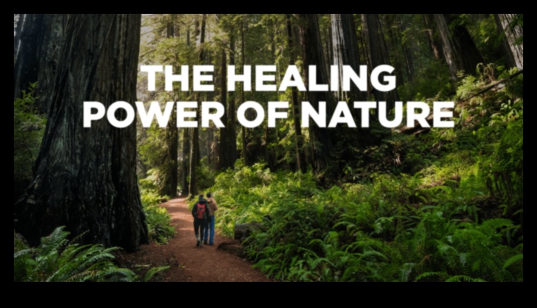 How do landscapes influence the mental well-being of individuals?