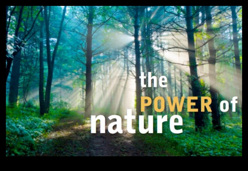 How do landscapes influence the mental well-being of individuals?