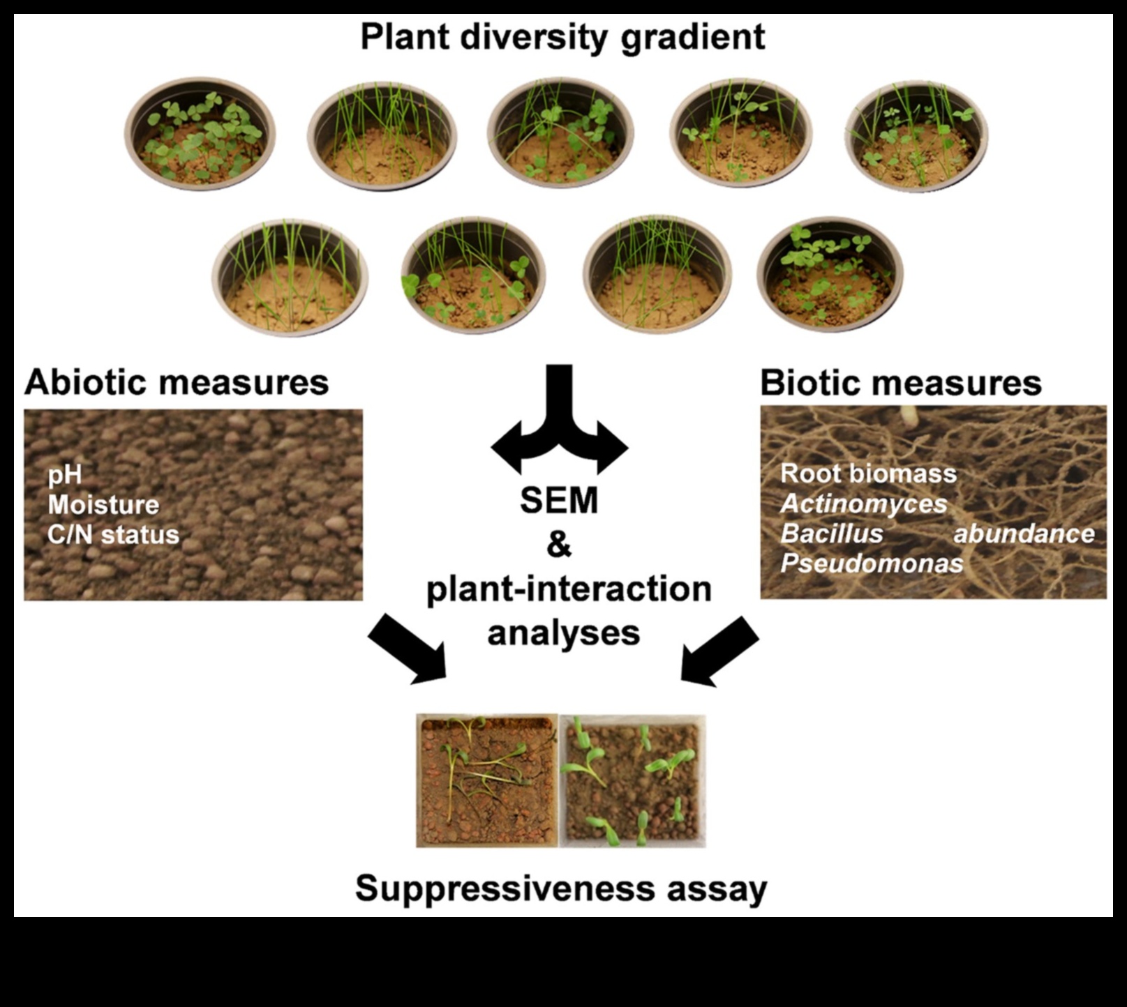 How do different plant communities contribute to the biodiversity of landscapes?