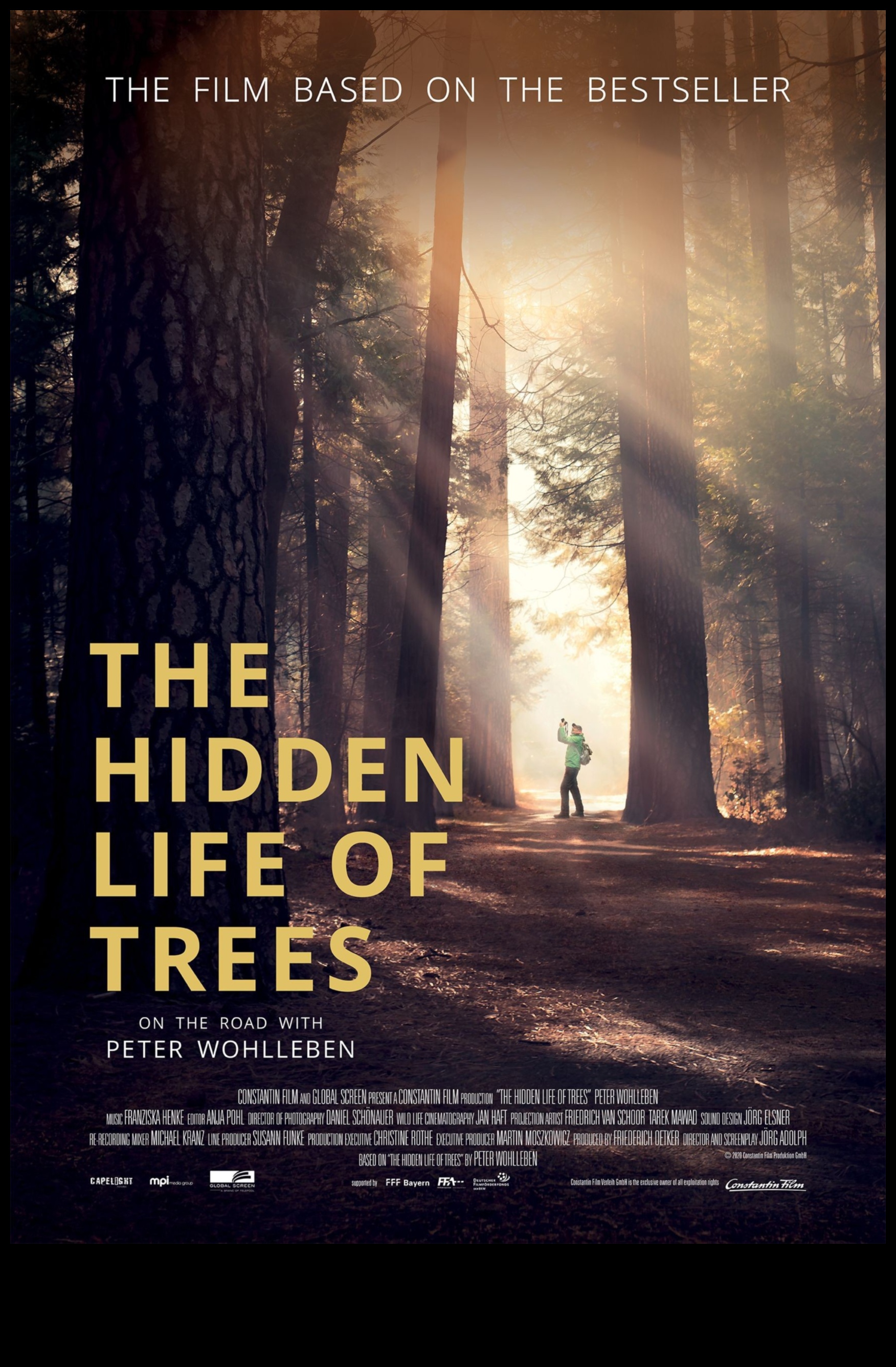 Mystical Woodlands II: Forest Scenes and Their Everlasting Enchantments