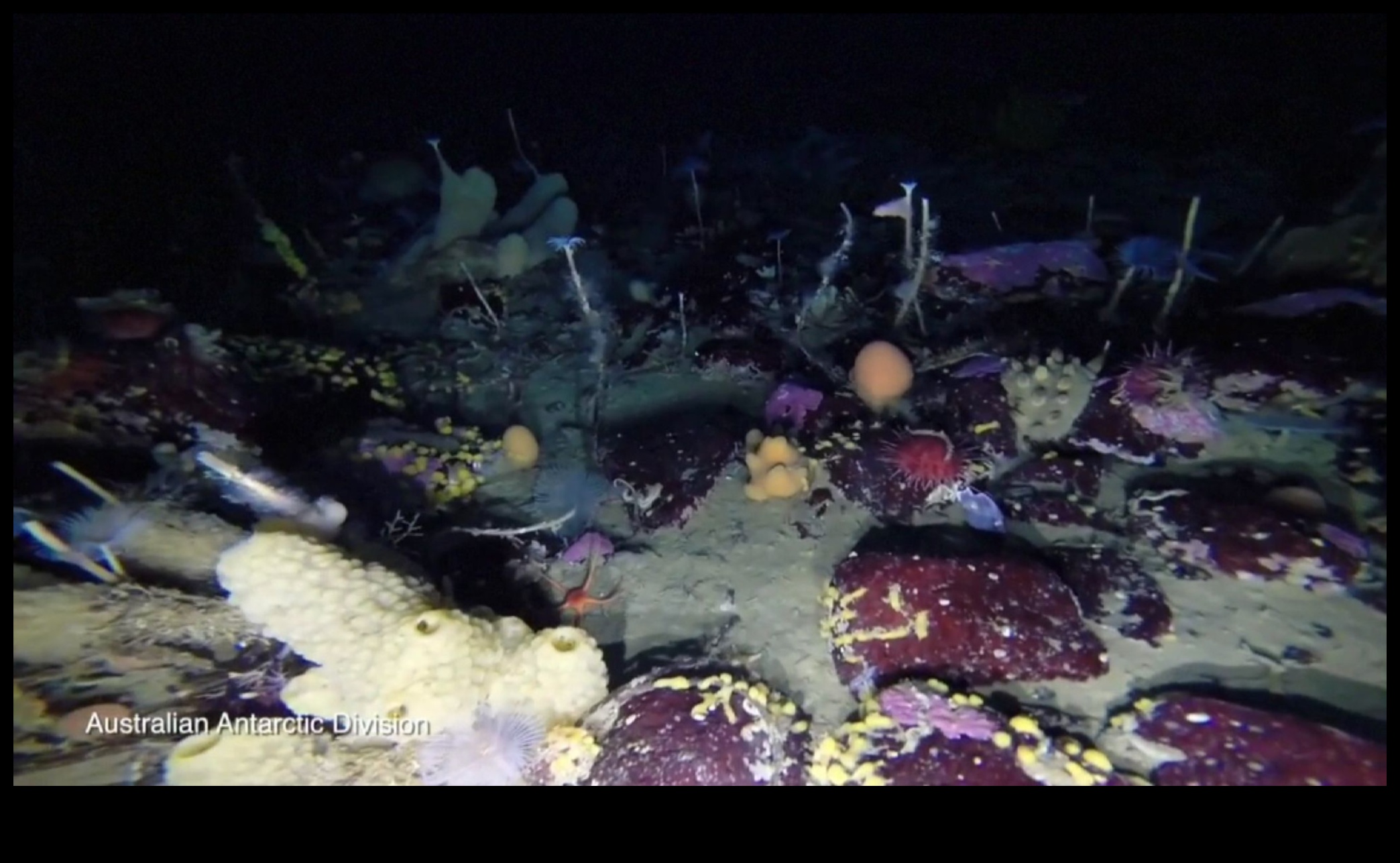 How do different water bodies contribute to the aquatic biodiversity of landscapes?