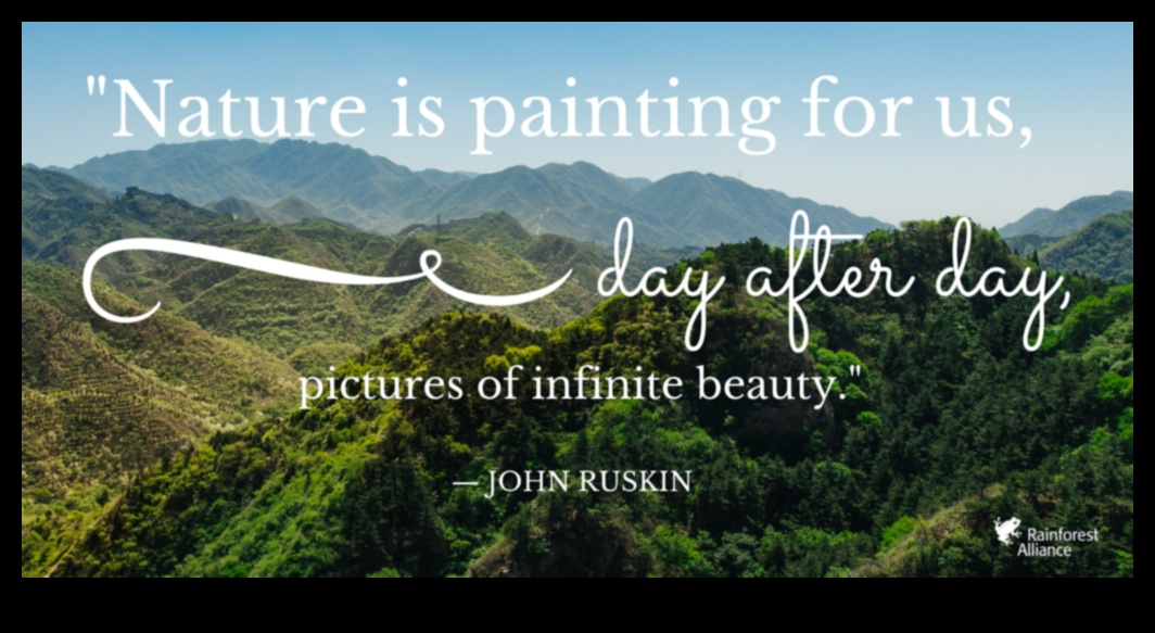 Infinite Beauty: Endless Horizons and Ever-Changing Landscapes