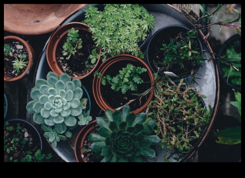 The Joy of Indoor Gardens How to Bring Pockets of Greenery into Your Home 1